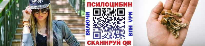 Псилоцибиновые грибы Cubensis  купить  сайты  Новодвинск 